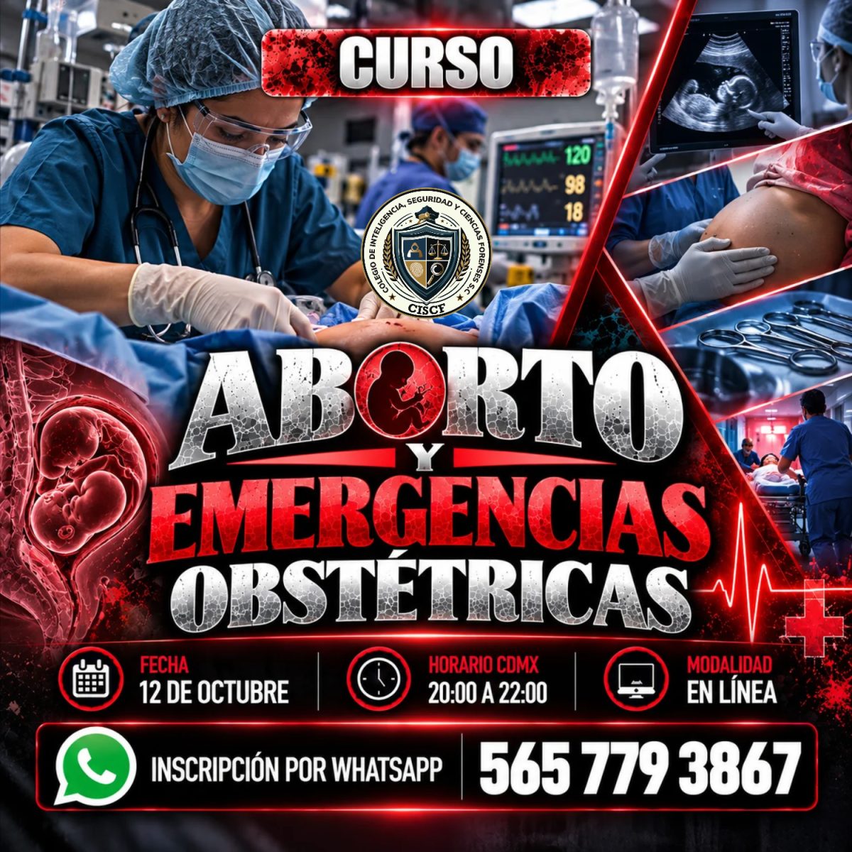 Aborto y Emergencias Obstétricas