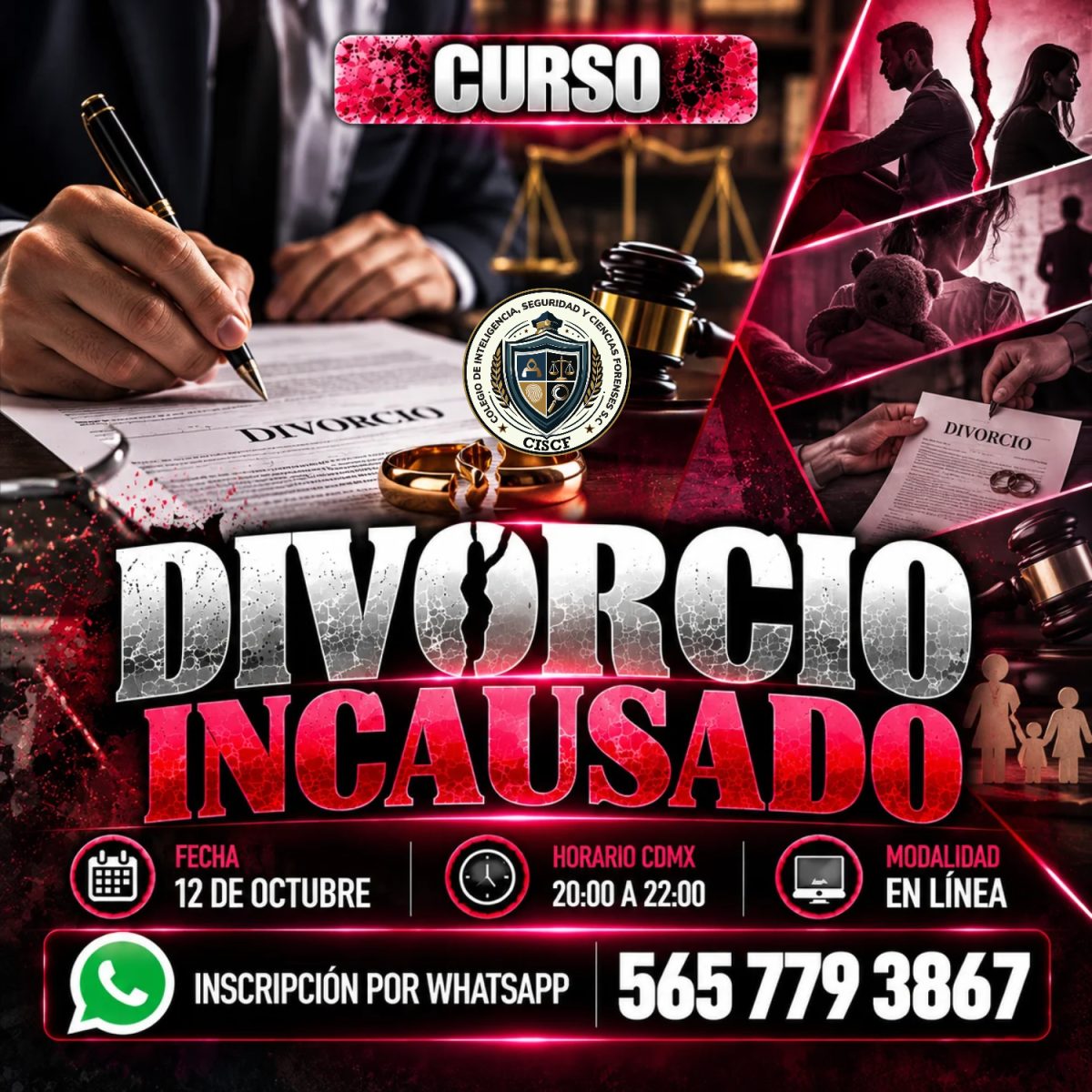 Divorcio Incausado
