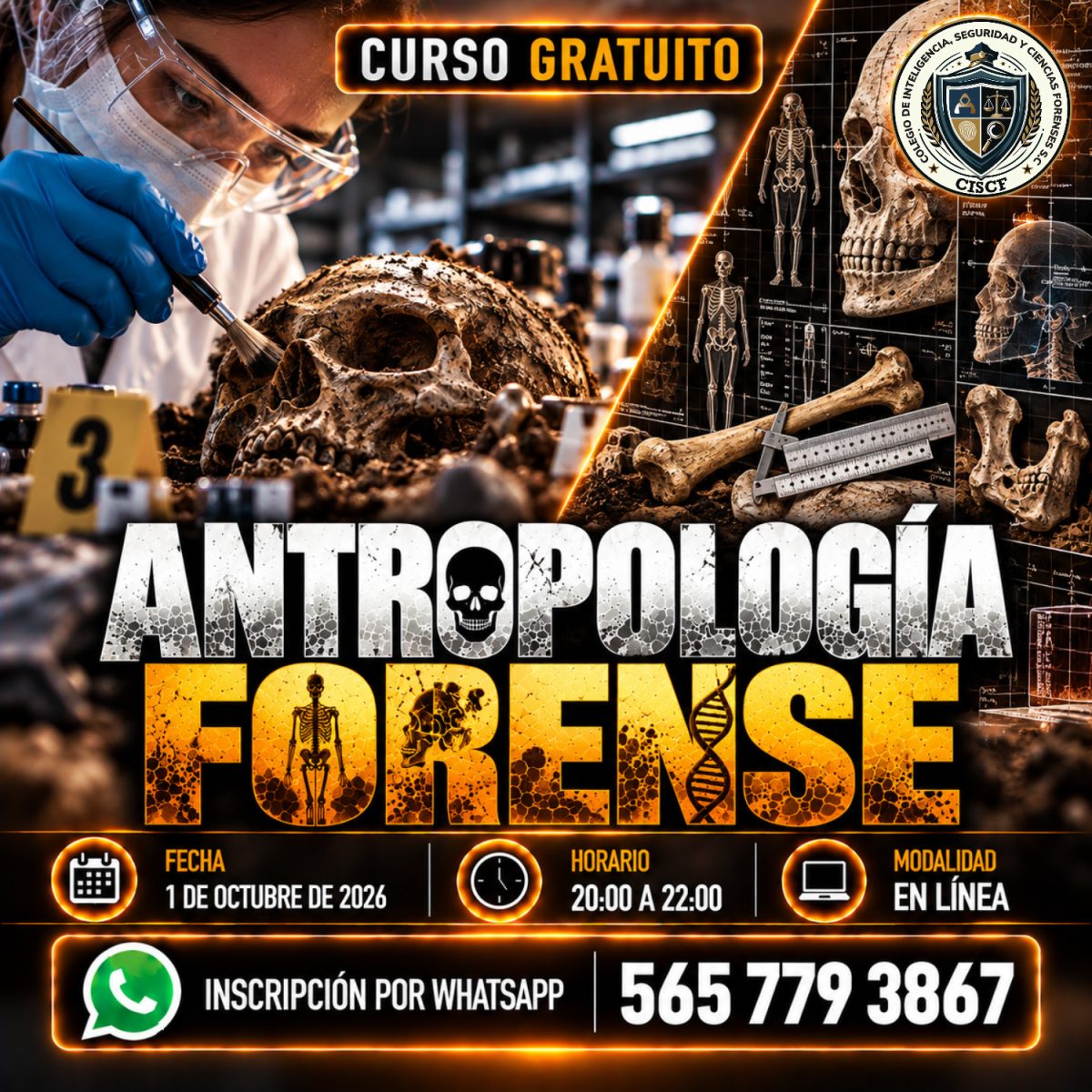 Antropología Forense