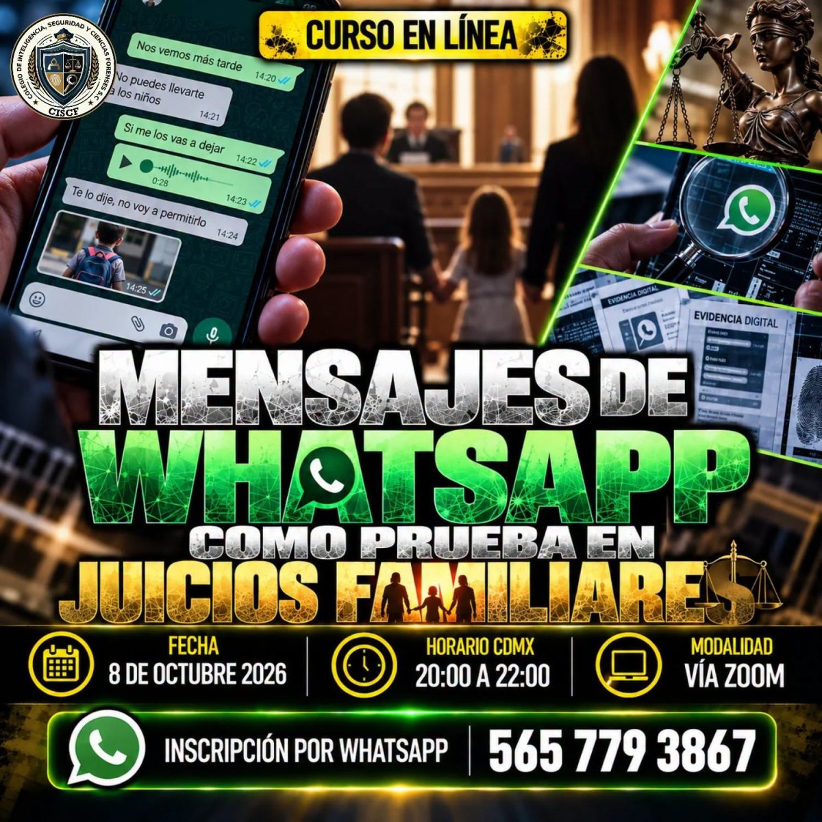 Mensajes de WhatsApp como Prueba en Juicios Familiares