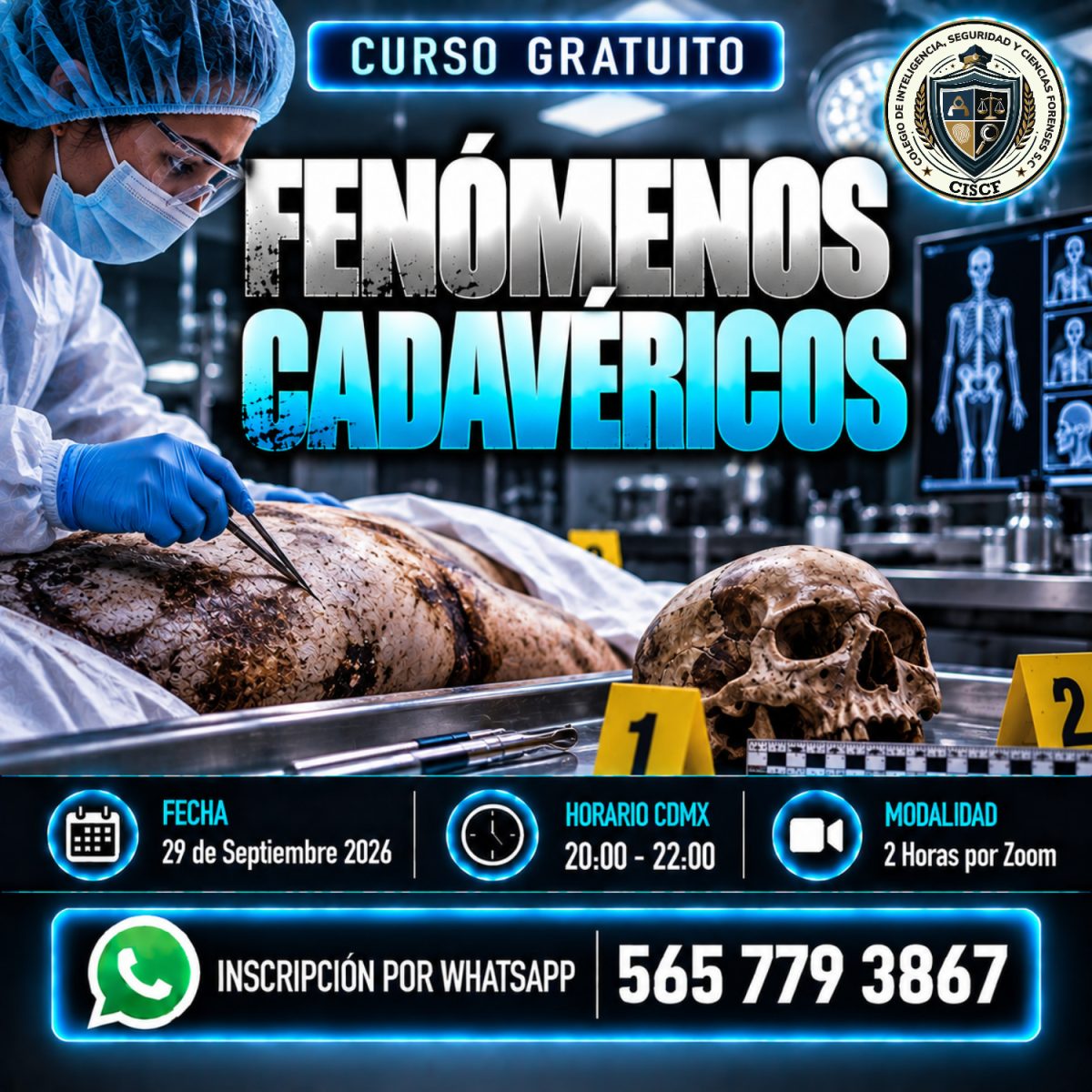 Fenómenos Cadavéricos