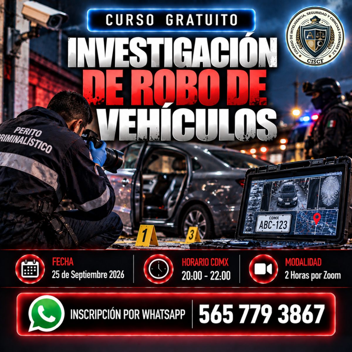 Investigación de Robo de Vehículos