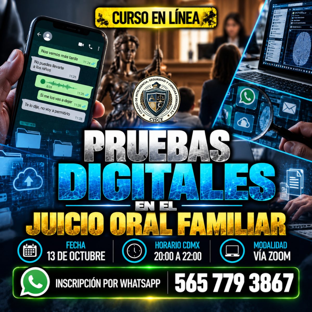 Pruebas Digitales en el Juicio Oral Familiar
