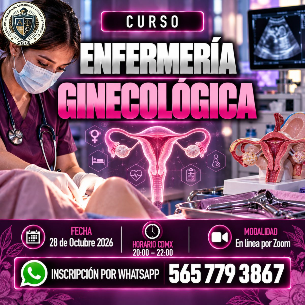 Enfermería Ginecológica