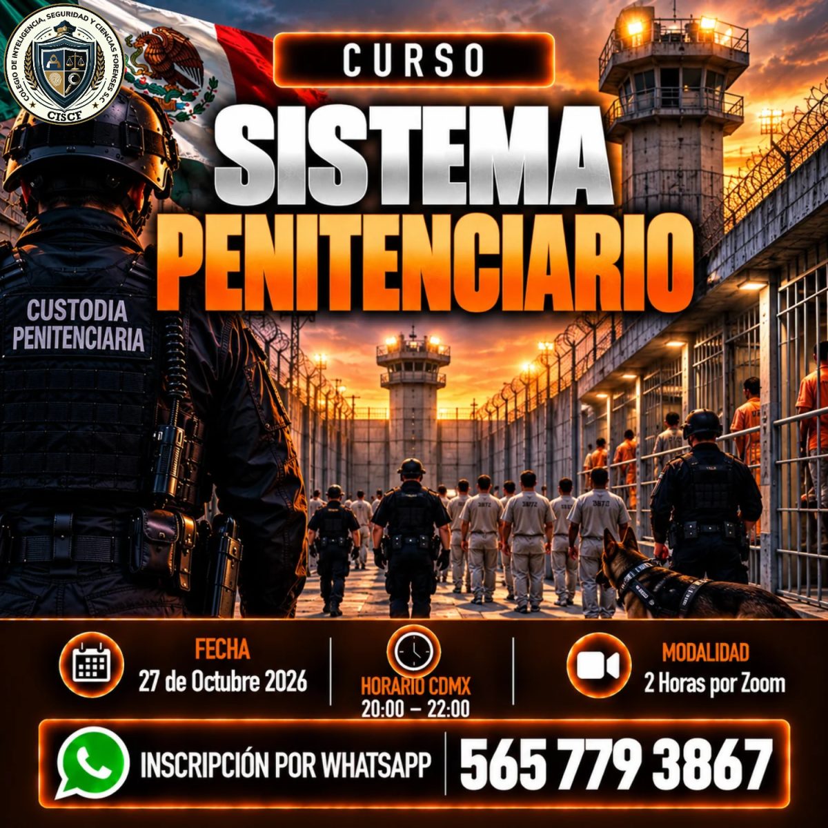 Sistema Penitenciario