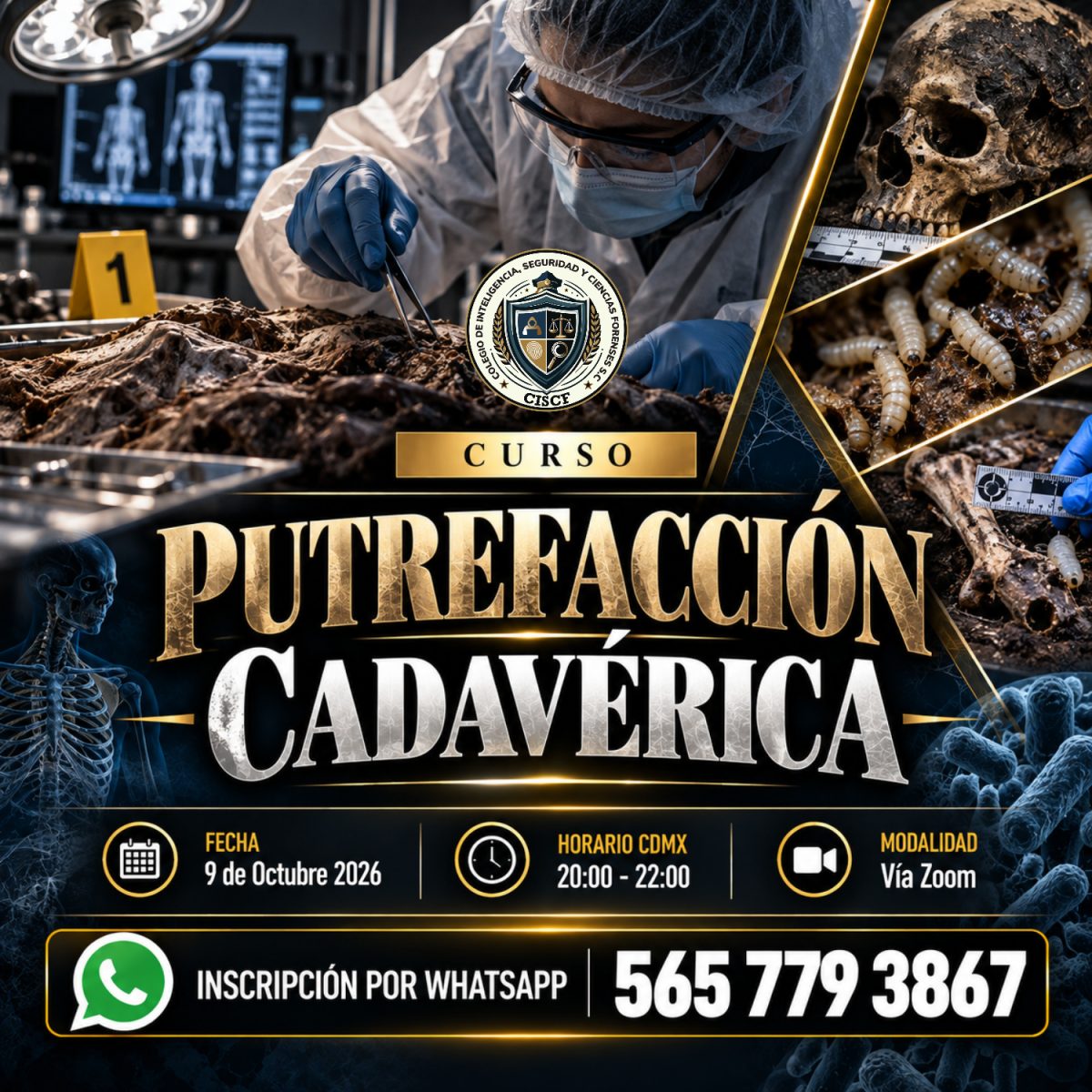 Putrefacción Cadavérica