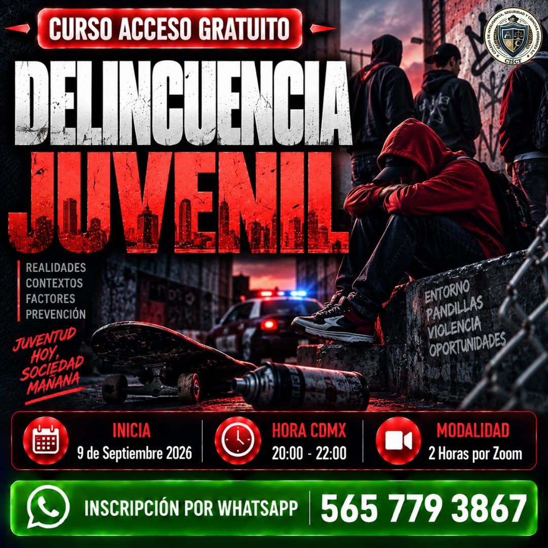 Delincuencia Juvenil