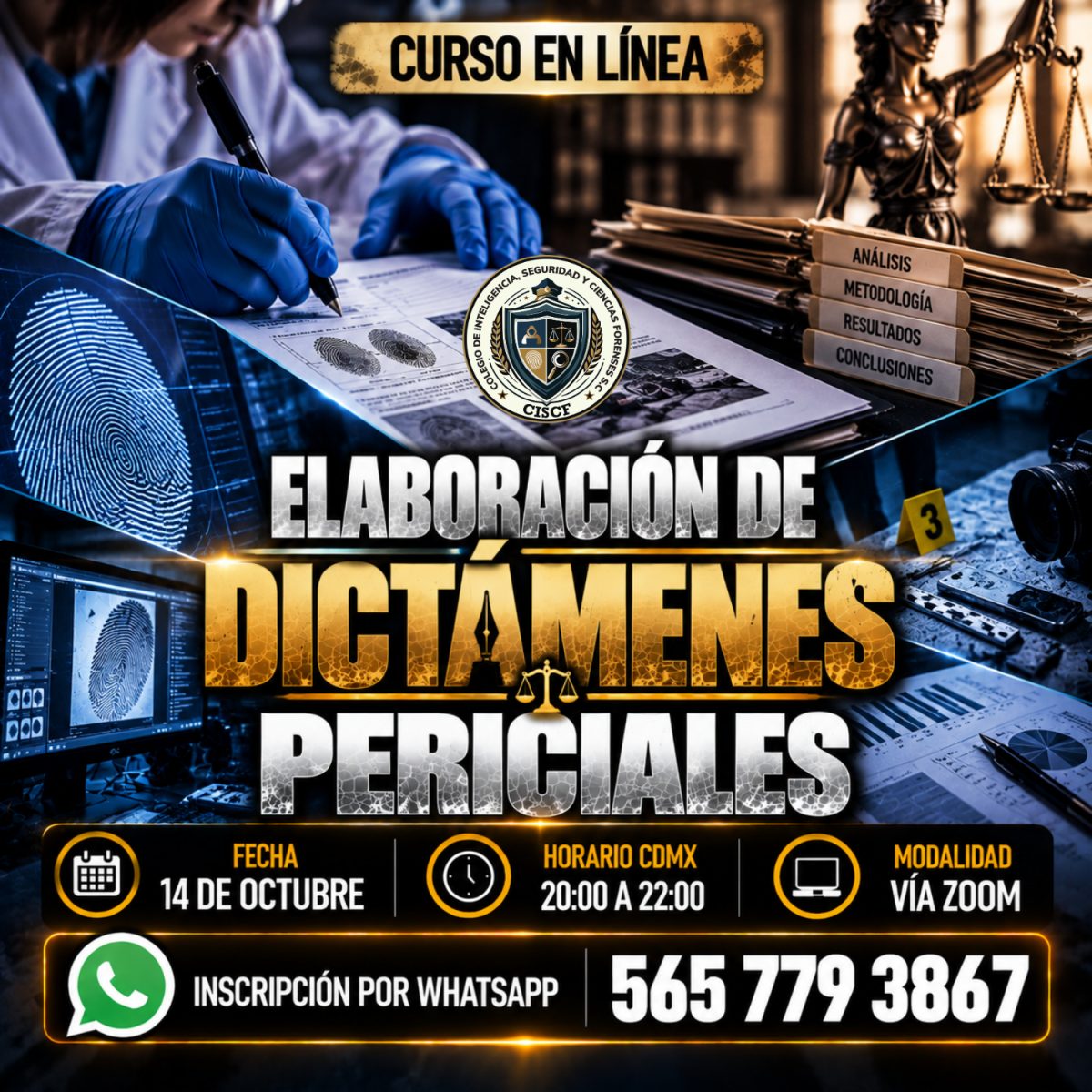 Elaboración de Dictámenes Periciales