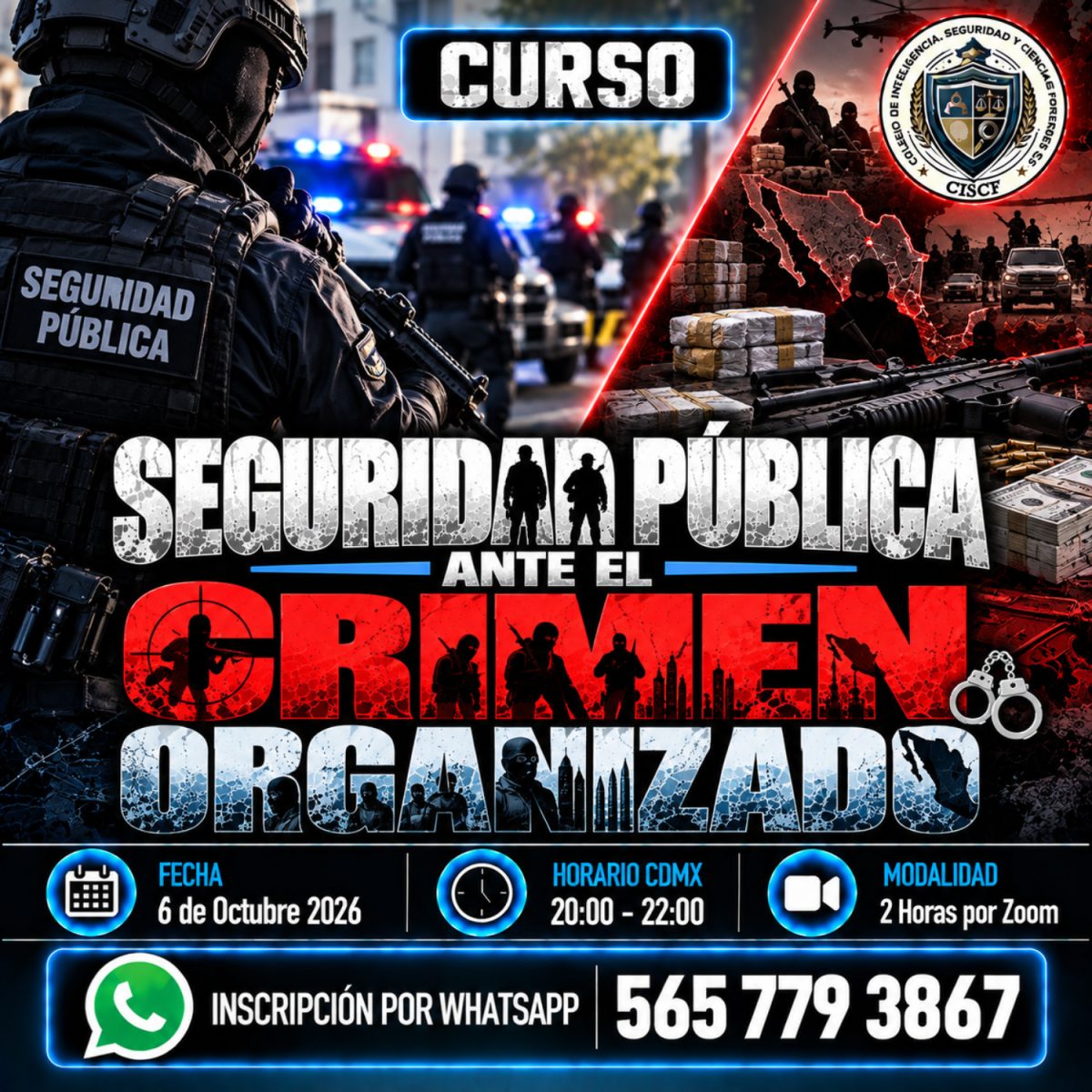Seguridad Publica ante el Crimen Organizado