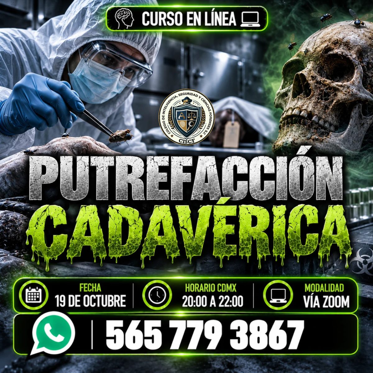 Putrefacción Cadavérica