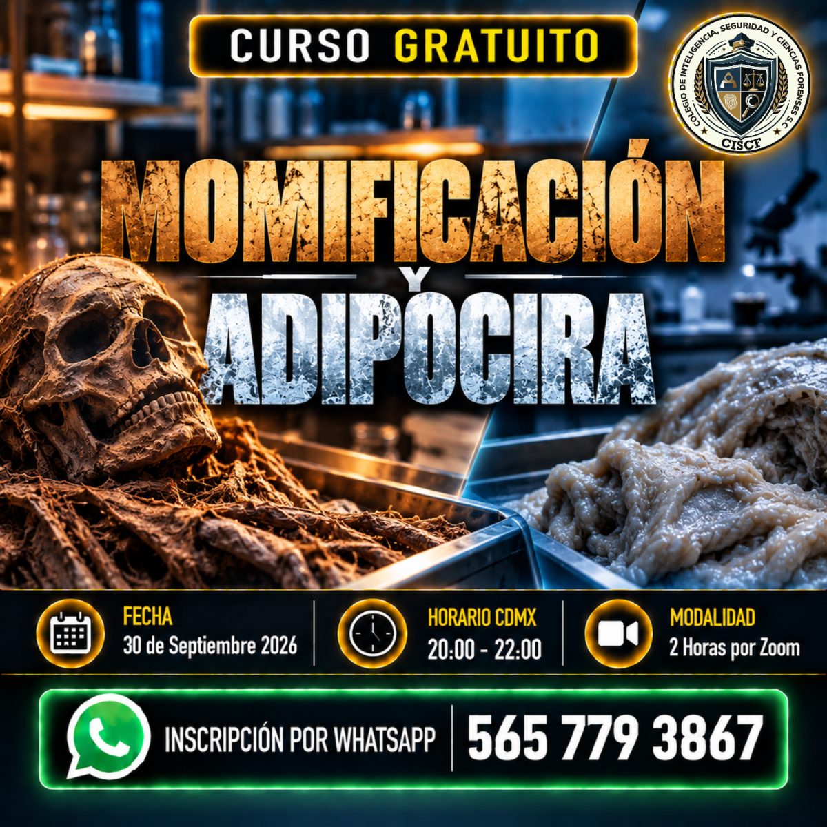 Momificación y Adipocira