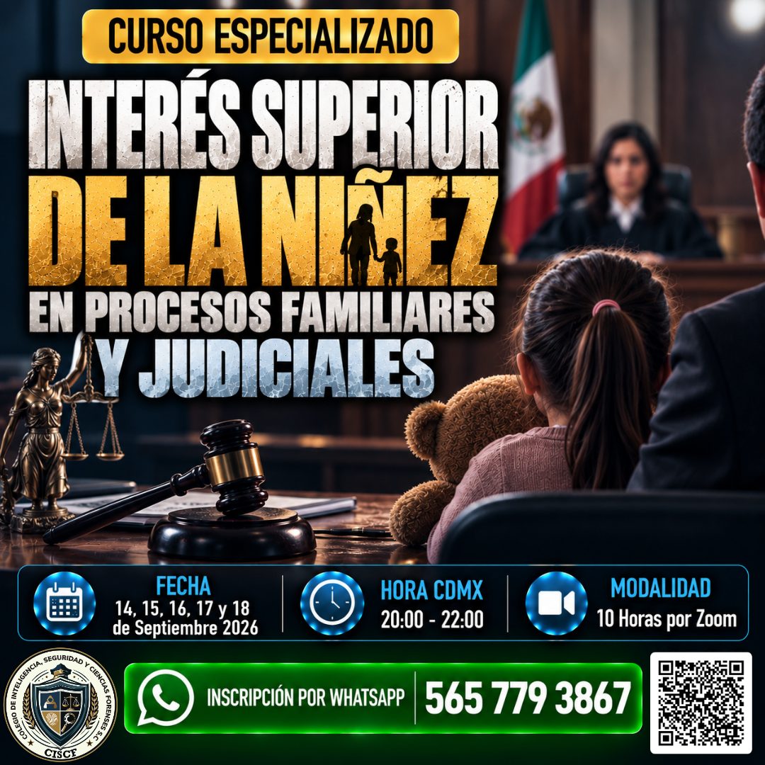 Curso Especializado: Interés Superior de la Niñez en Procesos Familiares y Judiciales (10hrs) 3ªG