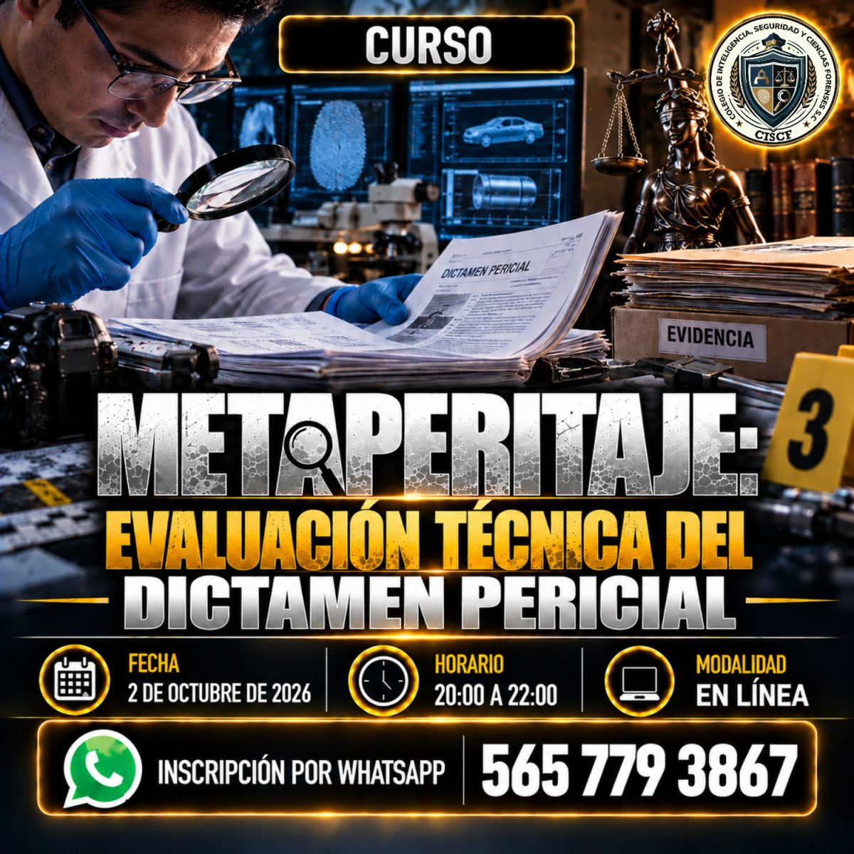 Metaperitaje: Evaluación Técnica del Dictamen Pericial