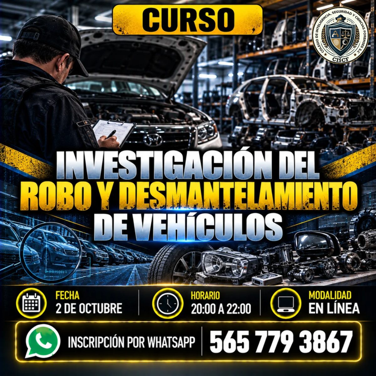 Investigación del Robo y Desmantelamiento de Vehículos