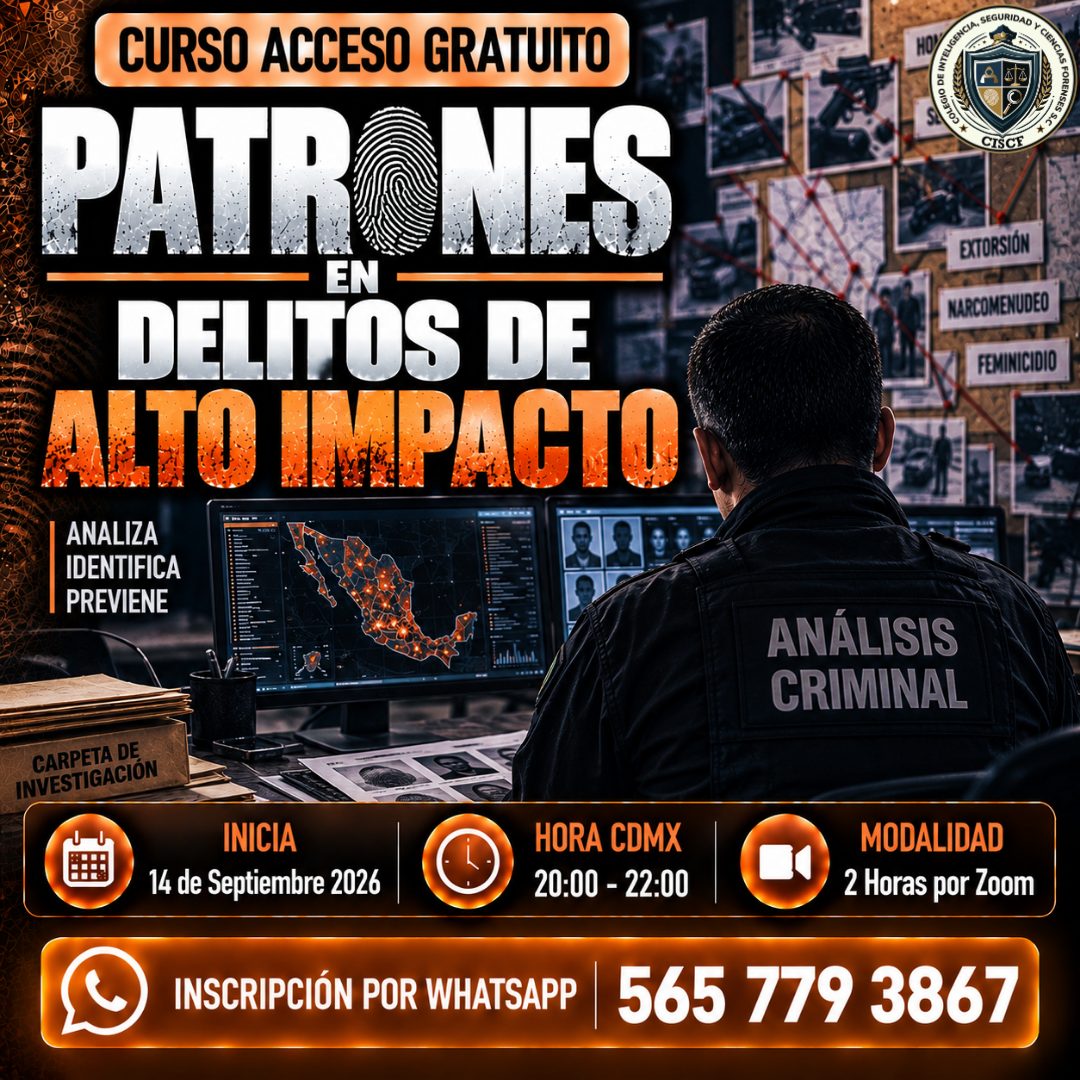 Patrones en Delitos de Alto Impacto