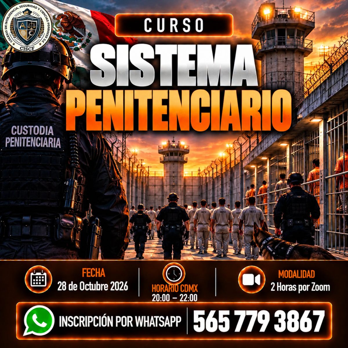 Sistema Penitenciario