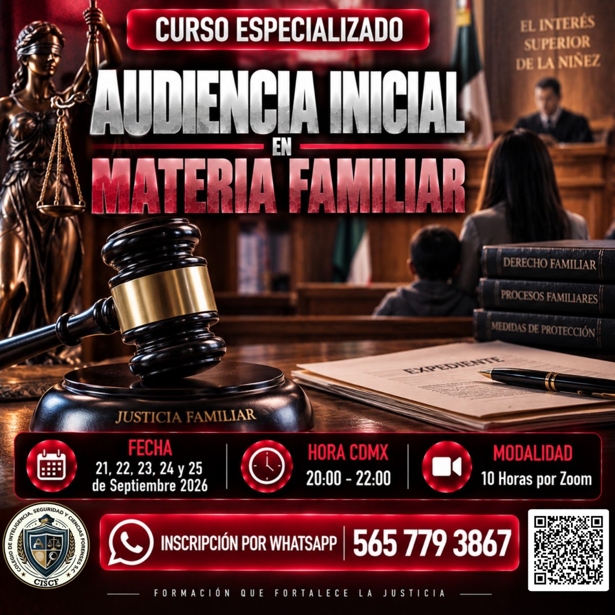 Curso Especializado: Audiencia Inicial en Materia Familiar (10hrs) 2ª Generación