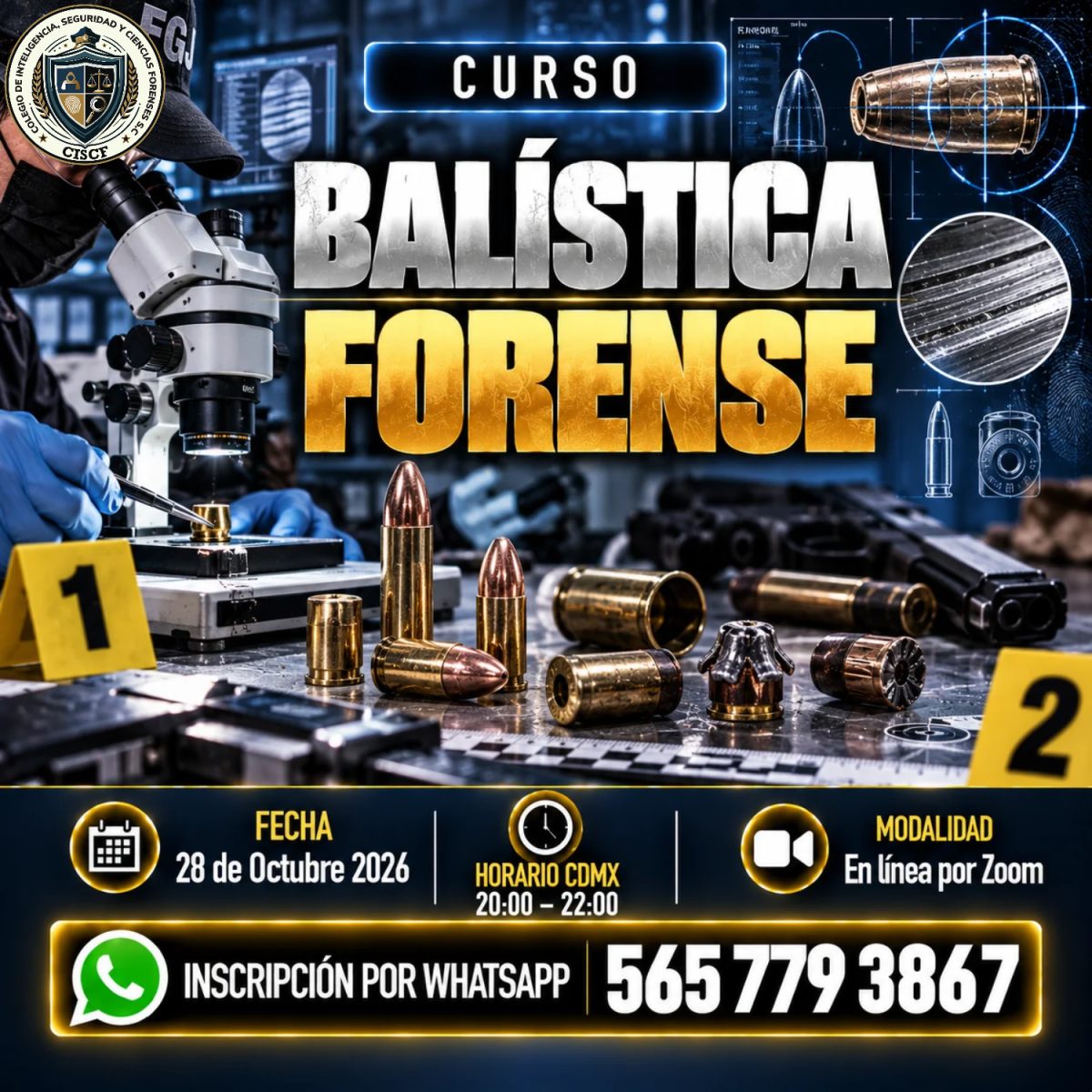 Balística Forense