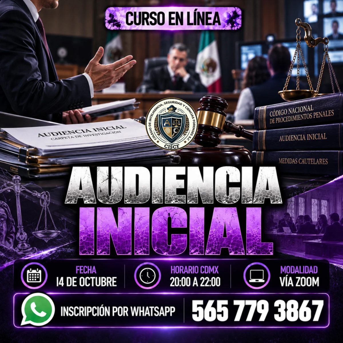 Audiencia Inicial